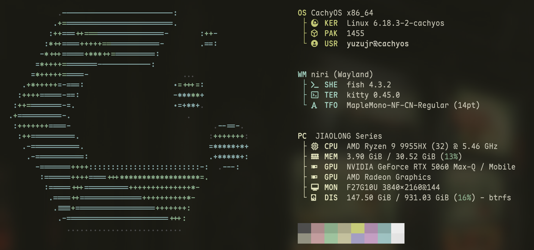 CachyOS 环境展示
